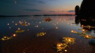 Чёрная река