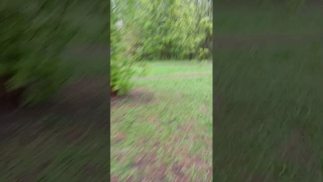 01.05.25. ... пополнение кормушек для белочек, воробьев и синиц