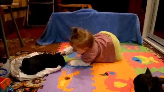 Дочка играется со щенками