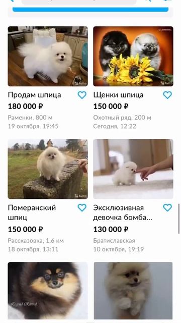 Я Видел Сон Где Ты Моя 💝
