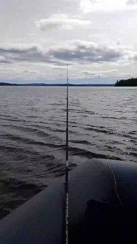 VID-20240621-WA0004