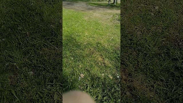 парк Красносельского района