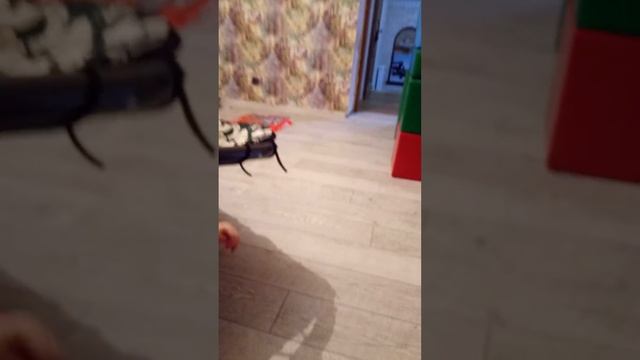 Іринка туп туп