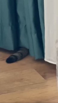 За вами следят🤣