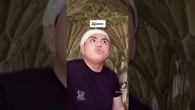 Гарри Поттер и туалетная комната