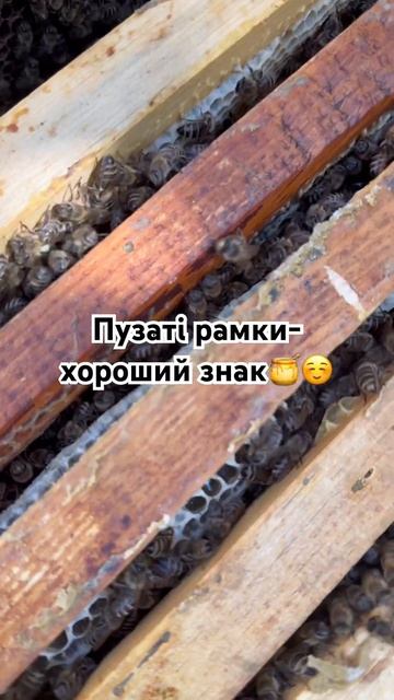 Пузаті рамки-хороший знак🍯☺️ #мед #медок #весняниймед #квітковиймед #травневиймед