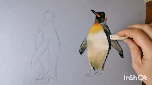 How to draw a penguin with pastels/ Pinguin mit Pastellkreiden zeichnen/ Пингвин пастелью/ Pingouin