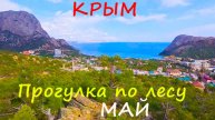 КРЫМ . Почему тут больше не хоронят людей? Кладбище в горах