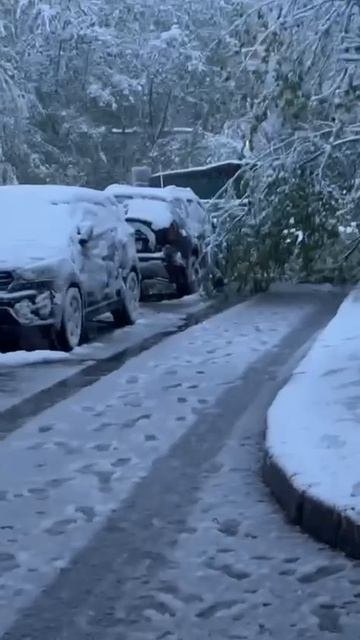 ⚡️Москву накрыл безумный СНЕГОПАД: вернувшаяся зима ломает ветки, которые падают на машины, дороги и