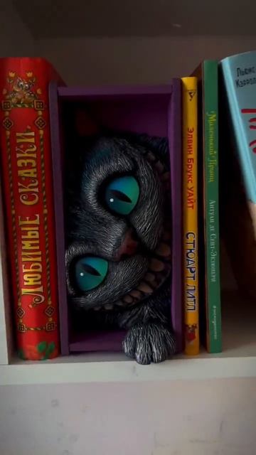 Вставка между книг Чеширский кот