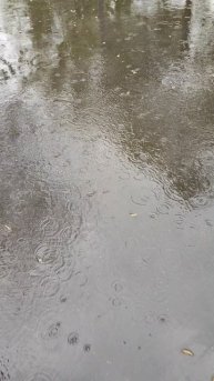 Люблю грозу в начале мая....