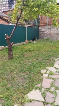2 сезон PATRIOT PT 5555 ES COUNTRY