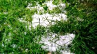 Summer hail / Летний град
