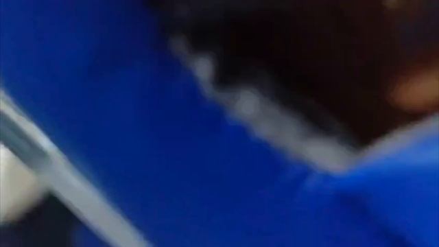 регби судного дня
