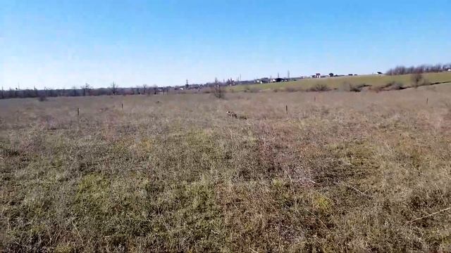 13 03 19 Санта Куропатки