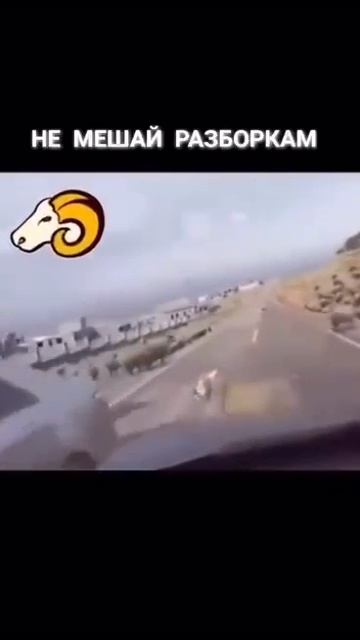 Не мешай разборкам