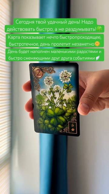 🍀#картадня #cardoftheday #таро #ленорман #lenormand #совет