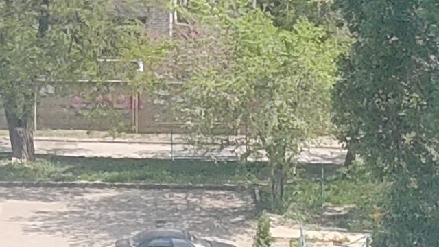 наблюдаем  что на улице
