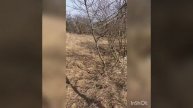 Наше радостное приобретение 20 соток