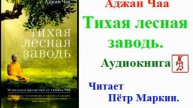 2 Аджан Чаа Тихая лесная заводь.