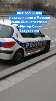 СБУ сообщила о задержании в Монако сына бывшего главы «Мотор Сич» Богуслаева