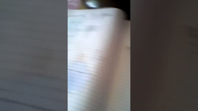 Мои рисунки по клеточкам