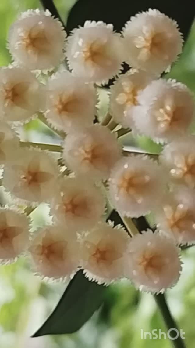 1000004630.mp4