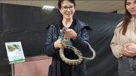 Мира и змея 🐍