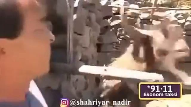 Самый смешной козёл