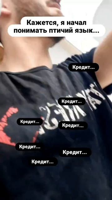 начал понимать птичий язык
