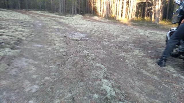 VID_20250502_190004.mp4