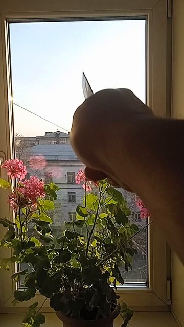 Защита на дом