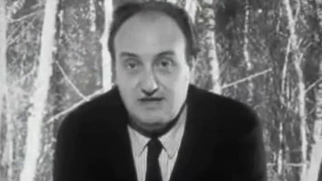 Deux Romains en Gaule 1967 rus Астерикс