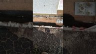 Мастер Николай