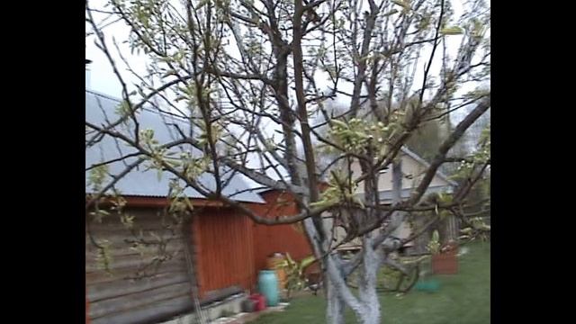 Весенние работы  на  даче.