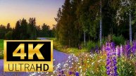 Природа и путешествие