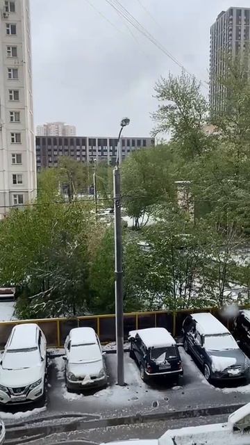 майская зима