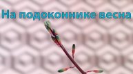 Показываю коллекцию и жалуюсь на погоду... видимо я старею(