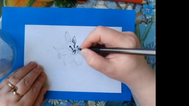 Как нарисовать лилию, легко и просто