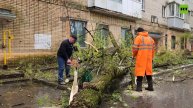 В Московской области коммунальщики устраняют последствия непогоды