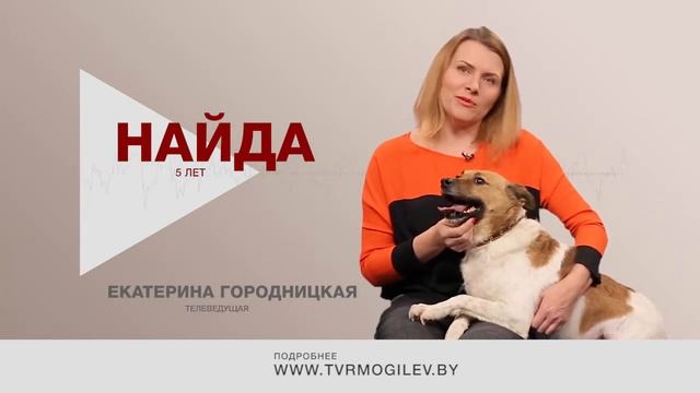 Доброе сердце. Екатерина Городницкая и Найда [БЕЛАРУСЬ 4| Могилев]