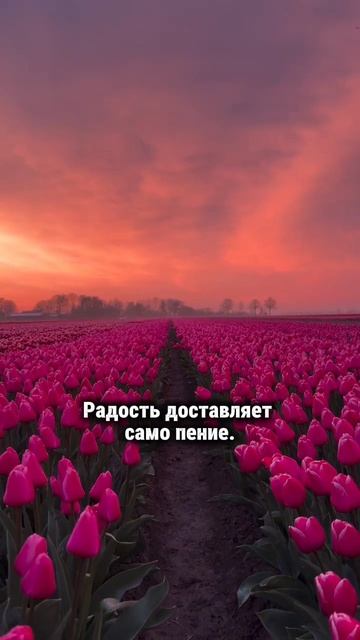 Радость заключается а том, что... #творец #раскрытиесердца #силасознания #материализациямыслей