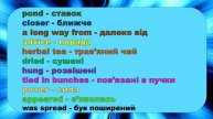 Тренінг розвитку аудіювальних навичок. A2 Pre-Intermediate. Текст Plants' spirit.