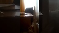 Я зделол нож из бумаги а4
