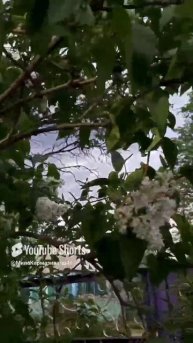 ДНР. Харцызск. 02.05.2025. Цветы у дома. Сирень белая мадам Лемуан #flowers