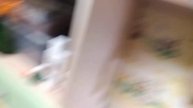 Budgie stealing food. Папуга краде свій корм.