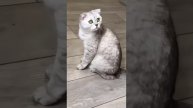 А возраста у женщин нет, когда они любимы....