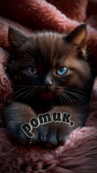 Доброй ночи..сладких снов 😘