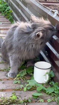 В теплице прикольно, но скучно
