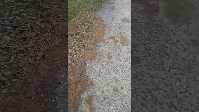 1 часть тегинга в деревне